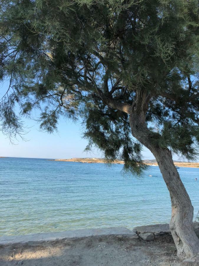 Asimi House Villa Zambujeira do Mar Dış mekan fotoğraf